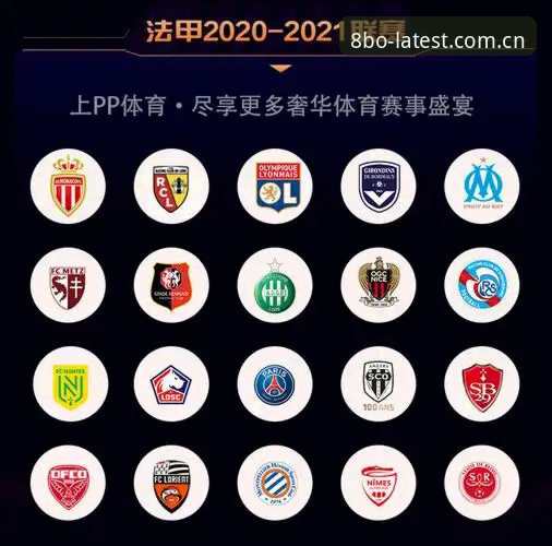 8博体育平台安装包使用指南：从下载到畅享赛事的完整攻略